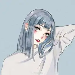 追风者·夜影